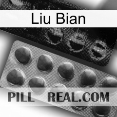 Liu Bian new04